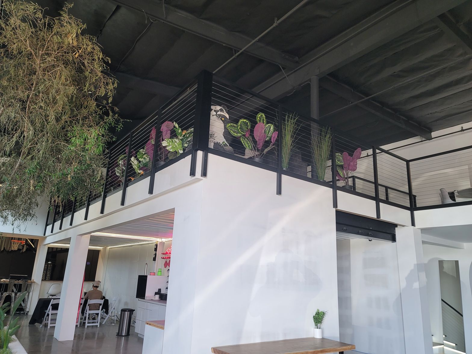 Patio Balcony with Plants